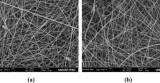 Nanofibras poliméricas