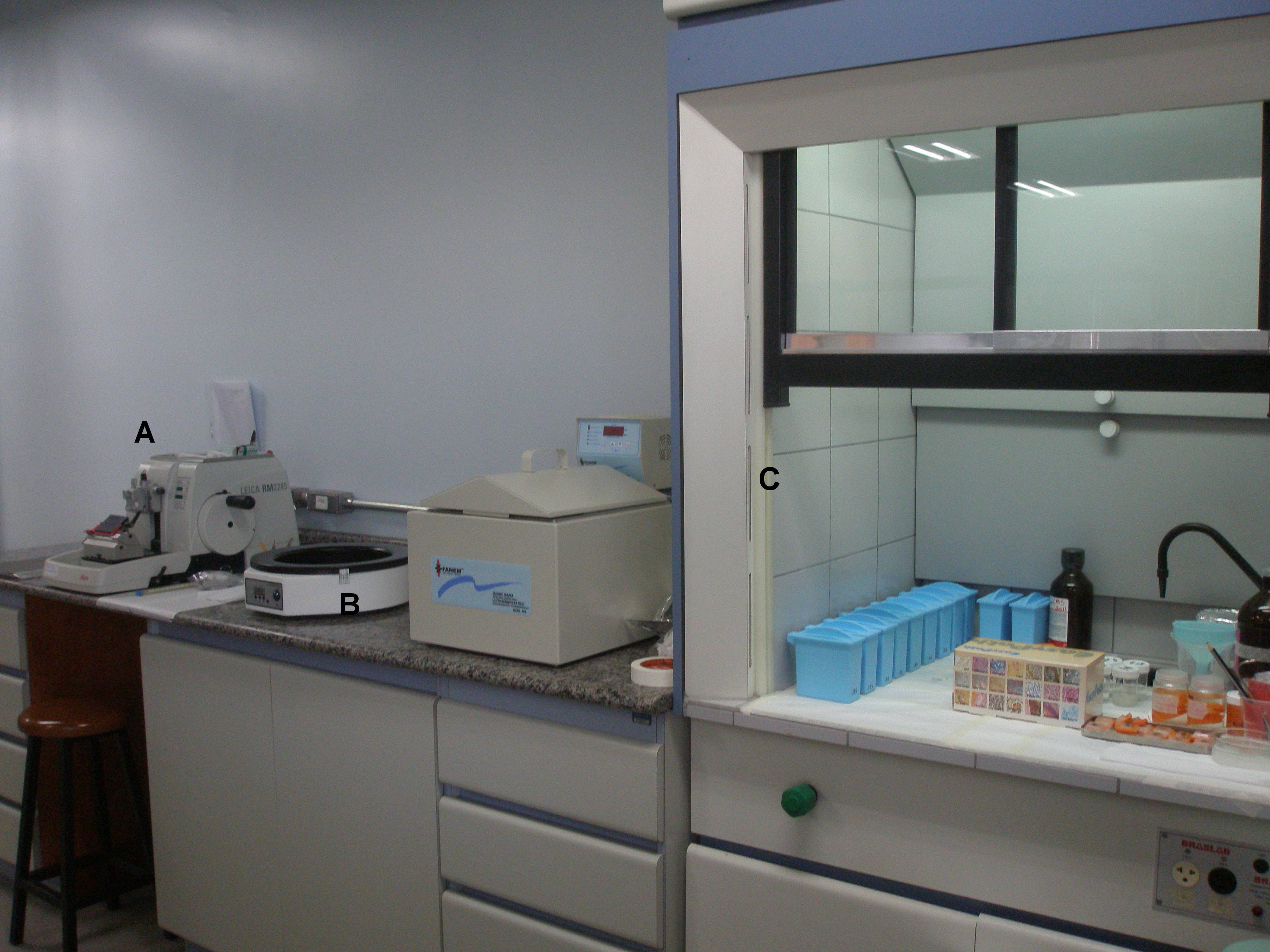 Processamento histológico de tecidos biológicos