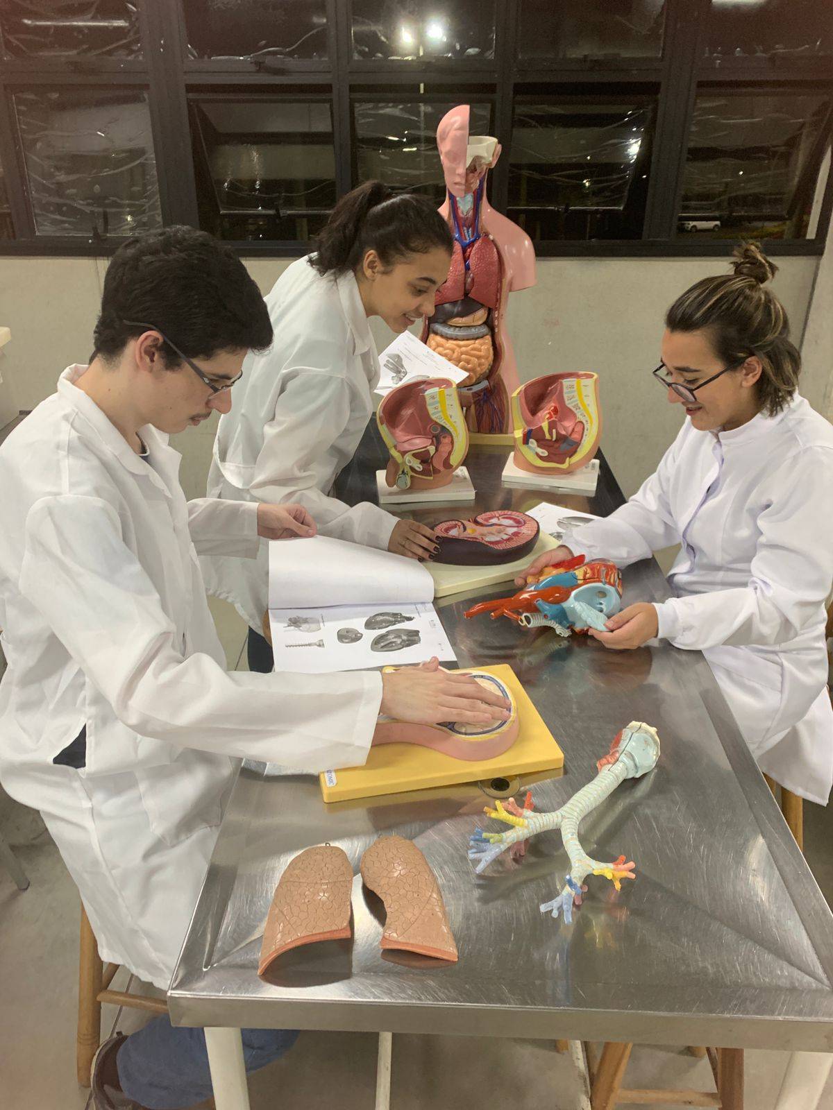 Anatomia humana (Lab. de Anatomia) - Aulas do complexo sistema esqueléticomuscular, circulatório, respiratório, digestório, urinário. Utilizando modelos 3D e simulações digitais, visualizando estruturas anatômicas em detalhes